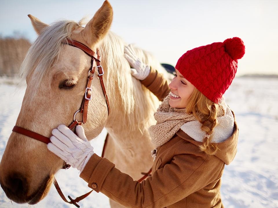 Ход конем: где в Подмосковье можно пообщаться с символом 2026 года