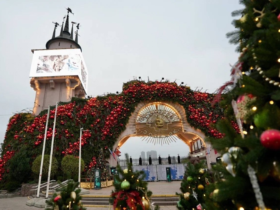 Неласковый мишка: зачем медведя-людоеда везут в Москву