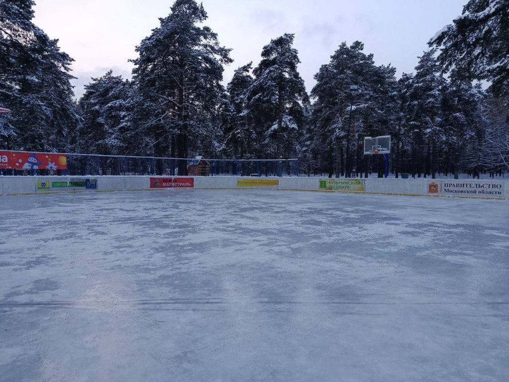 Лед готов: каток в Кузьминском лесопарке откроется 2 января