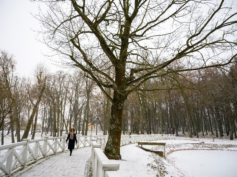 Деньги пойдут на голос: как жители Подмосковья выбирают объекты для финансирования