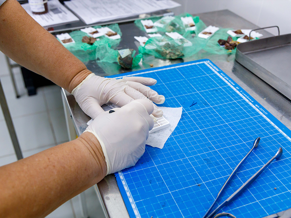 Детективы от медицины: патологоанатомы принимают поздравления с профессиональным праздником