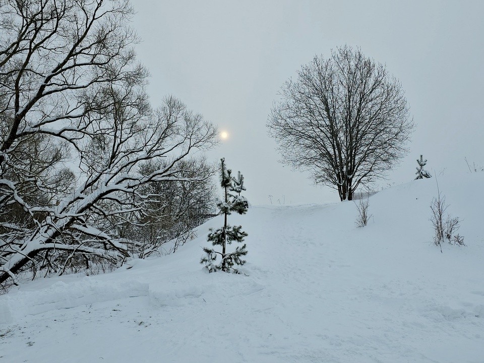 Мороз и месяц – ночь чудесна: крещенские купания пройдут в Подмосковье при морозах
