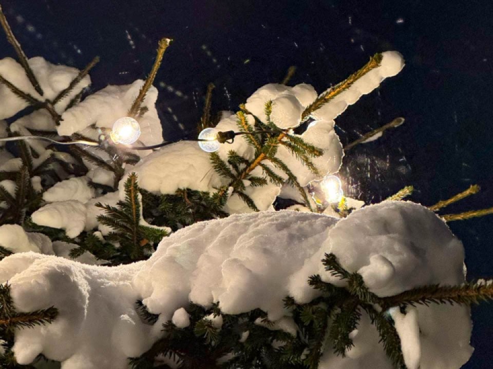 Синоптики обещают идеальную погоду на Старый Новый год в Подмосковье