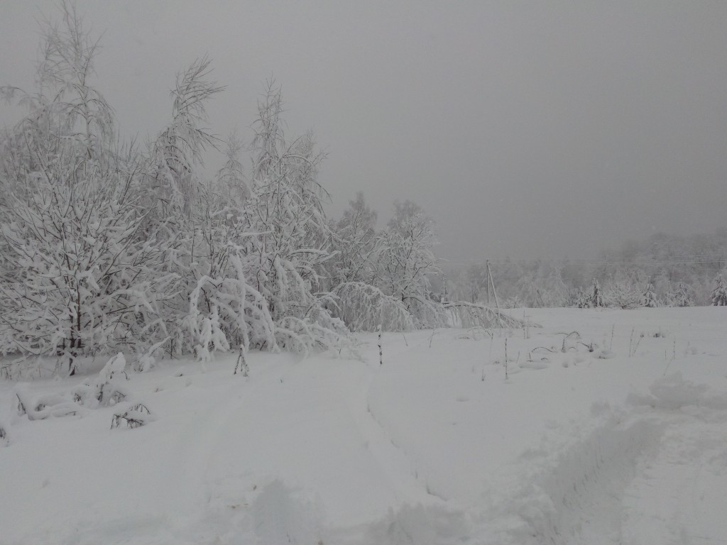 Стало известно, ударят ли в Рузе крещенские морозы