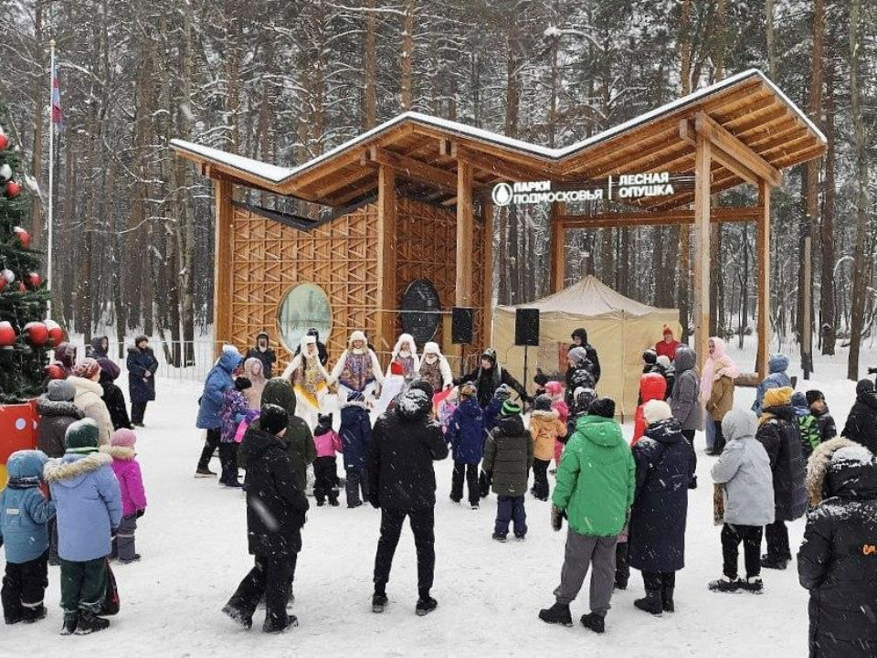 Фестиваль «Новогодние традиции» в Люберцах: интерактивные программы прошли в 23 дворах