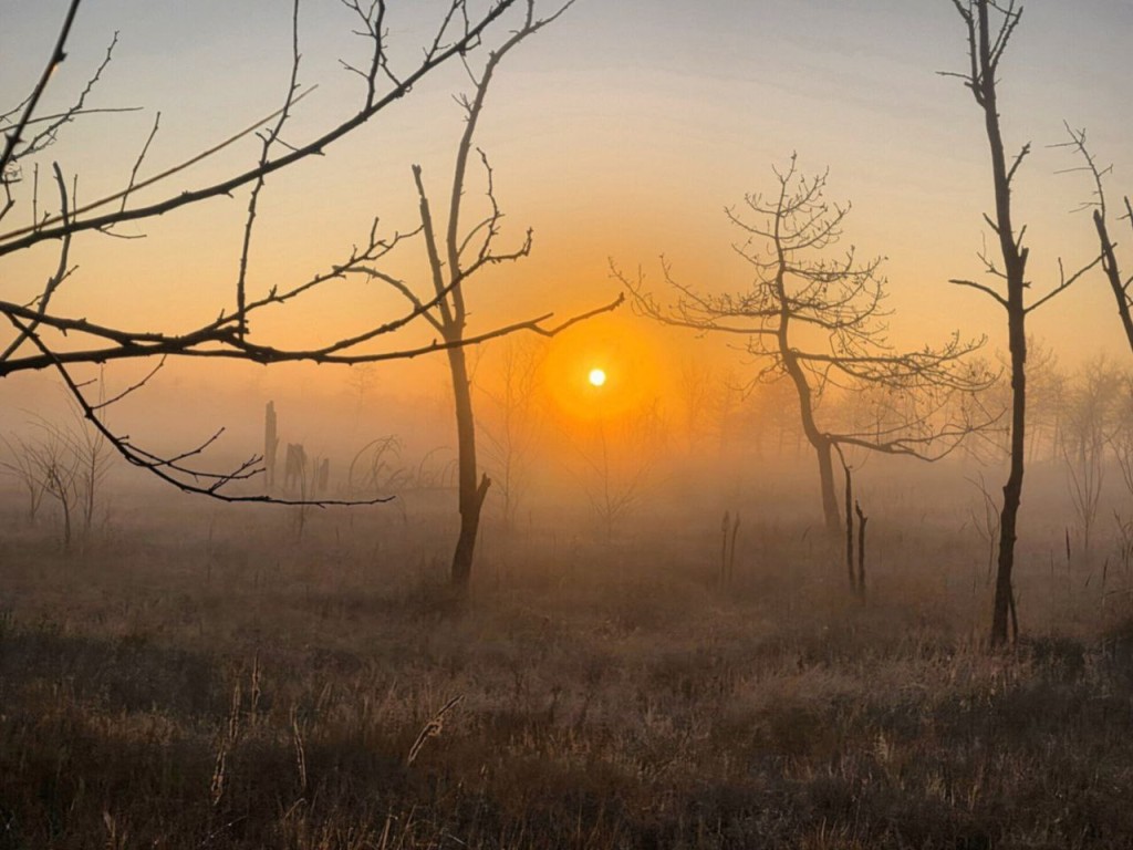 Гороскоп на 16 января 2026: магия полуслова и тайные покровители — какой знак зодиака сегодня получит послание от самой Судьбы