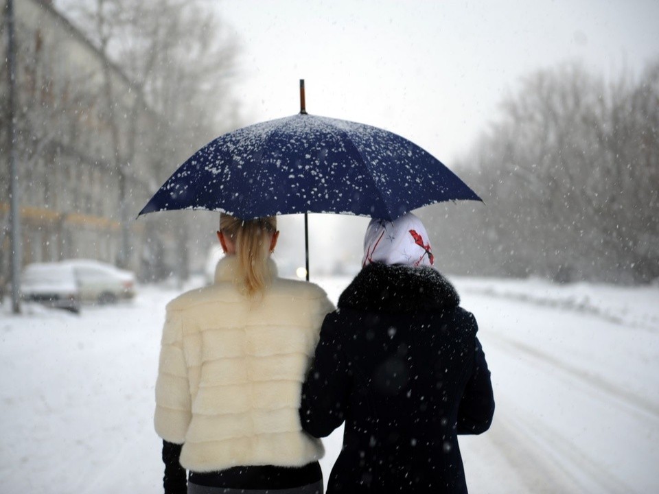 Вместо морозов — снежный апокалипсис: какой будет погода в Подмосковье на текущей неделе