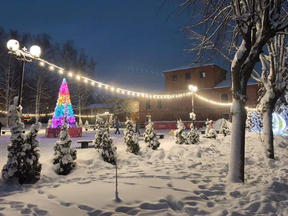 В Сестрорецком парке пройдет ярмарка ручной работы и мастер-класс по созданию венка 7 января