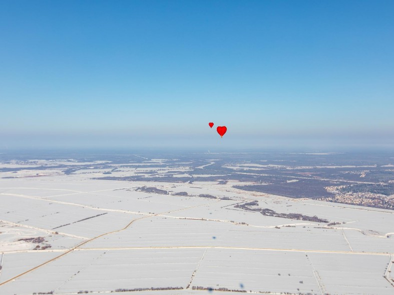 Аукционный бум: где в Подмосковье активнее всего распродают земельные участки