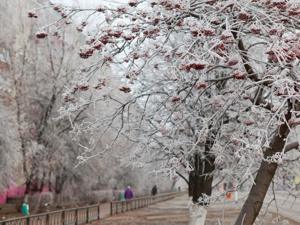 Теплое Крещение и ледяная пятница: какая погода ждет Подмосковье в конце января 2026 года