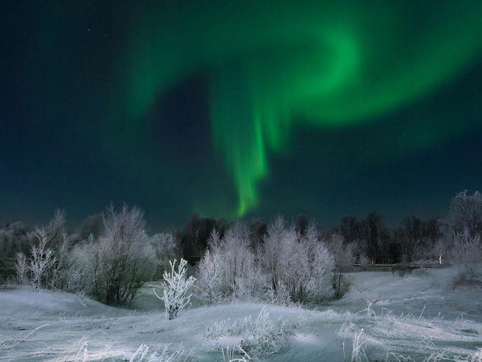 Небесное шоу: как жители Подмосковья смогут увидеть полярное сияние 21 и 22 января