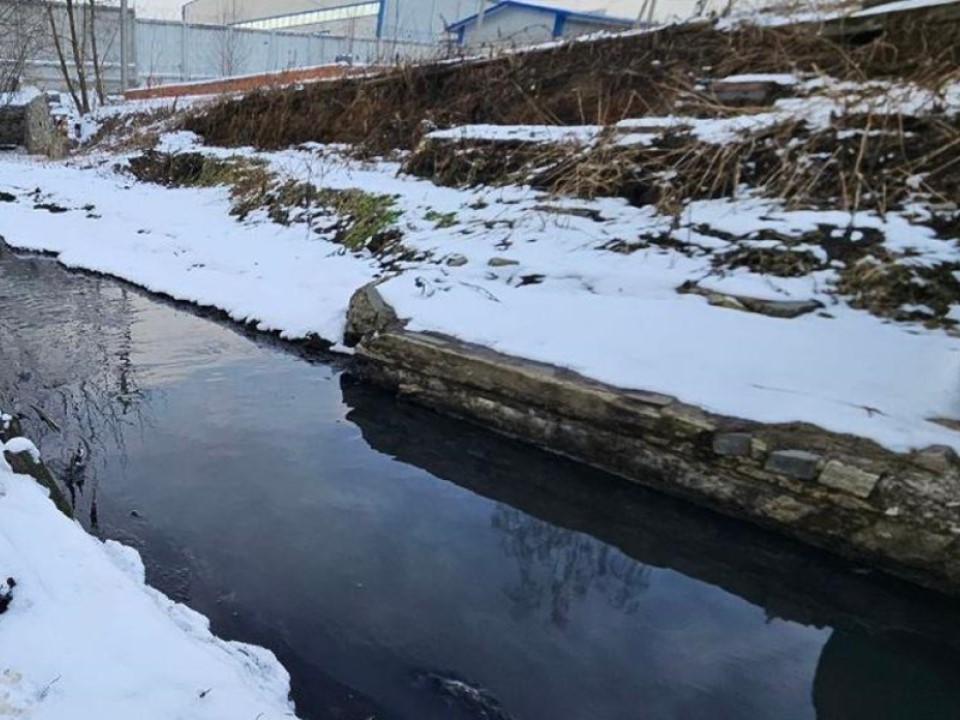 Пруд, песок и судебные страсти: история из Долгопрудного о том, как не стоит «улучшать» береговую полосу