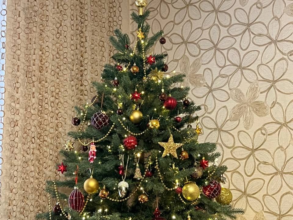 Новогодние елки жителей Фрязина могут превратить в корм для животных