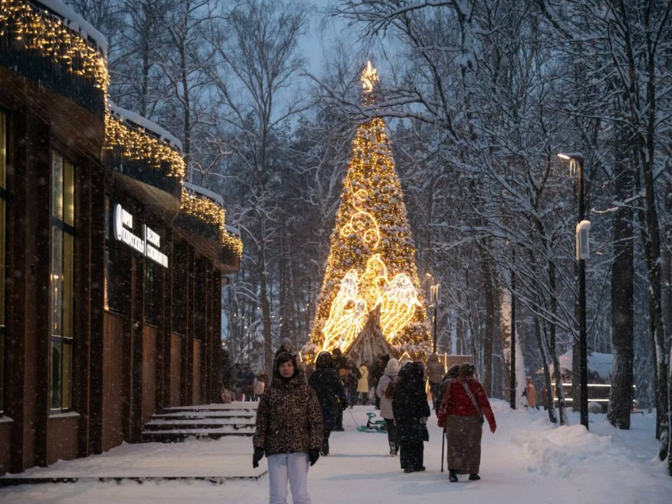 Рождество в лесу: зачем 7 января ехать в «Шишкин лес» или «Соколку»