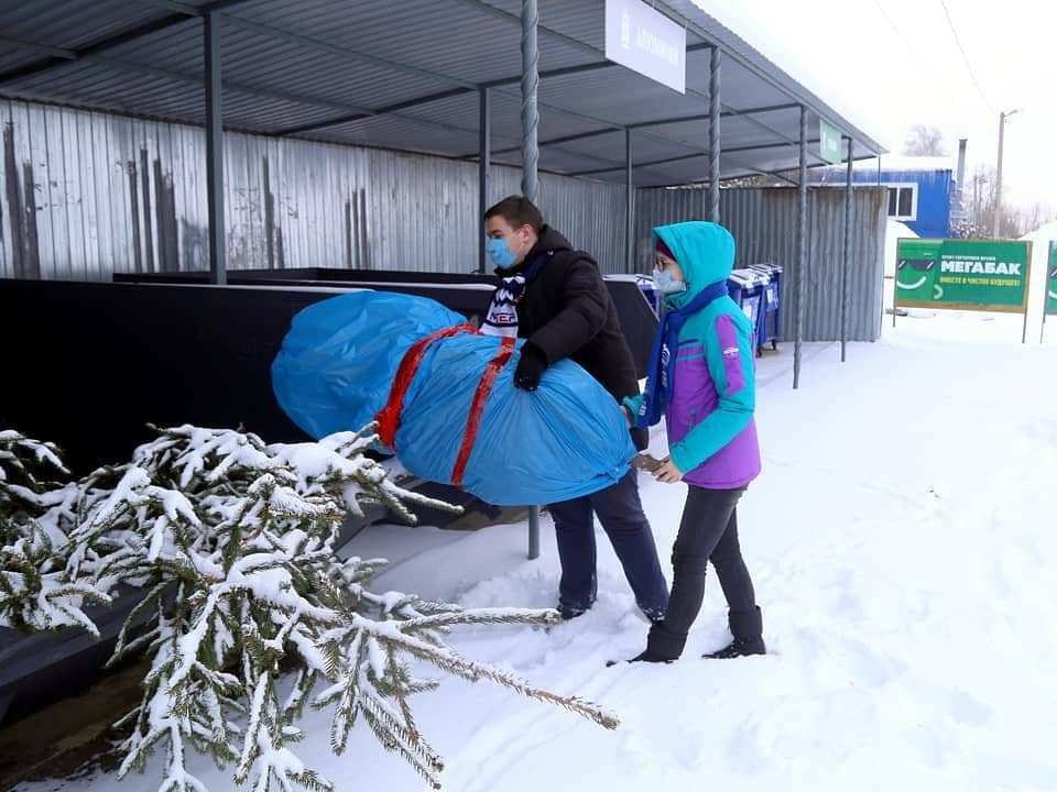 Куда луховичане могут сдать «отслуживших» новогодних красавиц
