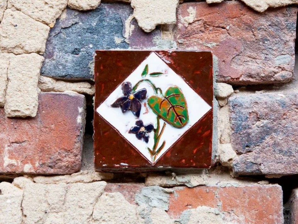 Почему фиалка стала символом Балашихинской фабрики? История, которую мало кто знает