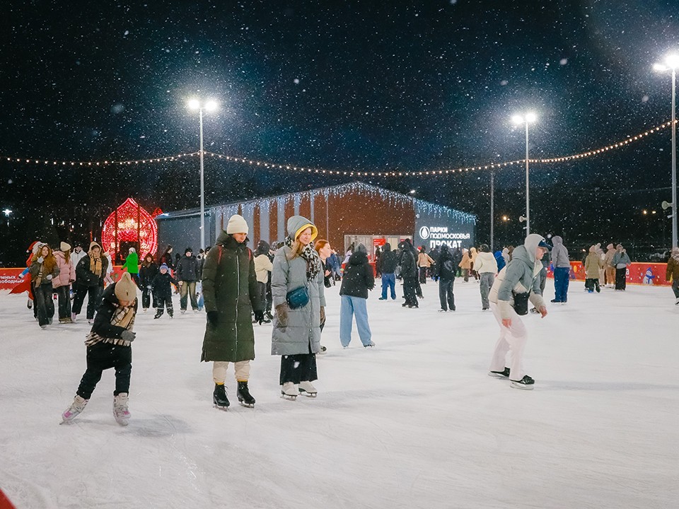 Катки, трассы и прокаты: что изменилось в подмосковных парках этой зимой