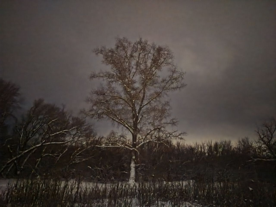 Морозы до -20° в Подмосковье: азиатский антициклон принесет солнечную и холодную погоду