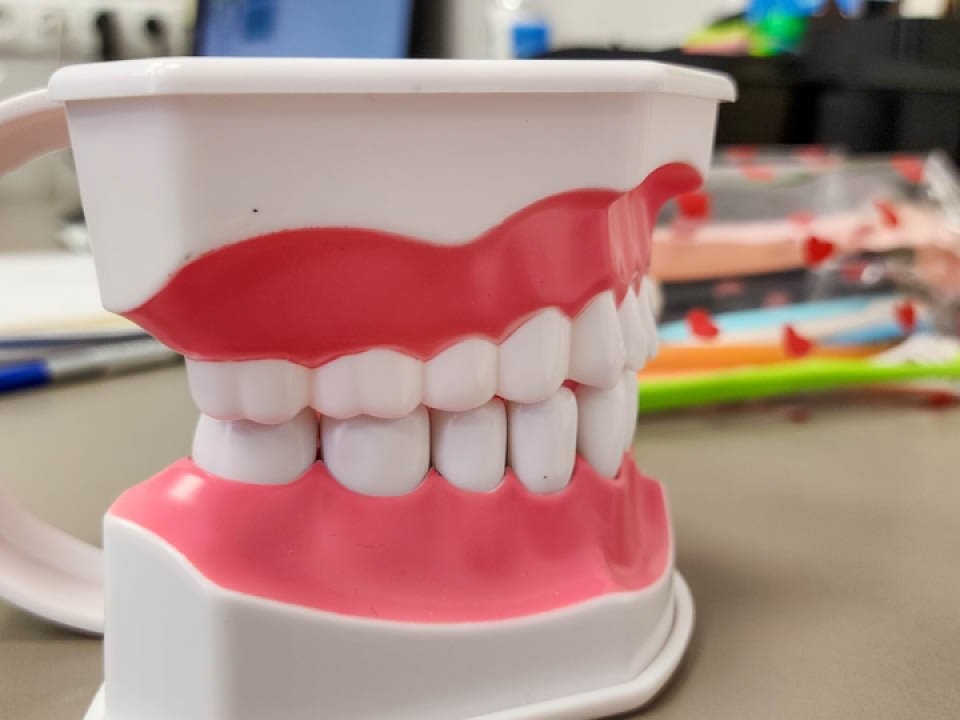 Естественная защита зубов: эти продукты спасут вас от кариеса