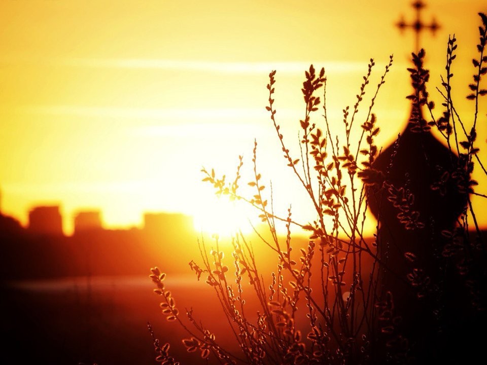 Зиме осталось недолго: названа точная минута, когда астрономически наступит весна