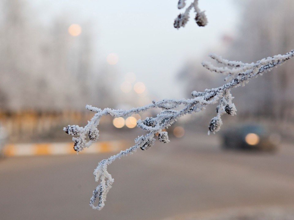 Выходные в Подмосковье: без снегопадов, но с морозами до минус 29 градусов