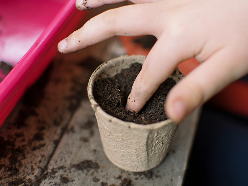 «Свет решает все»: что сеют в январе опытные дачники