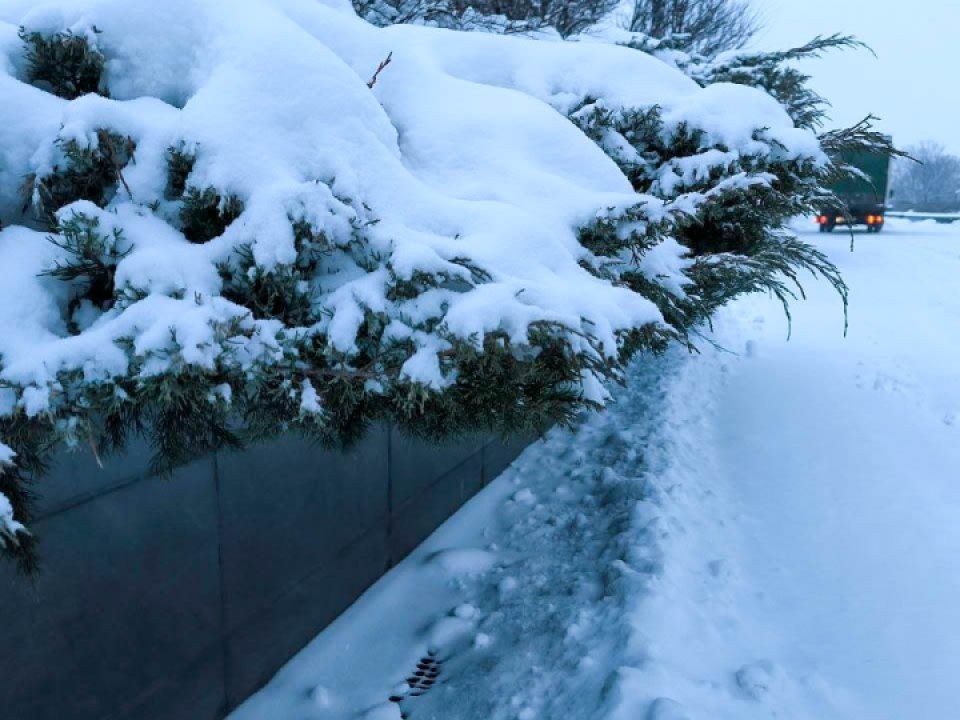 «Циклон, который завалит Подмосковье снегом»: Позднякова показала страшный снимок из космоса