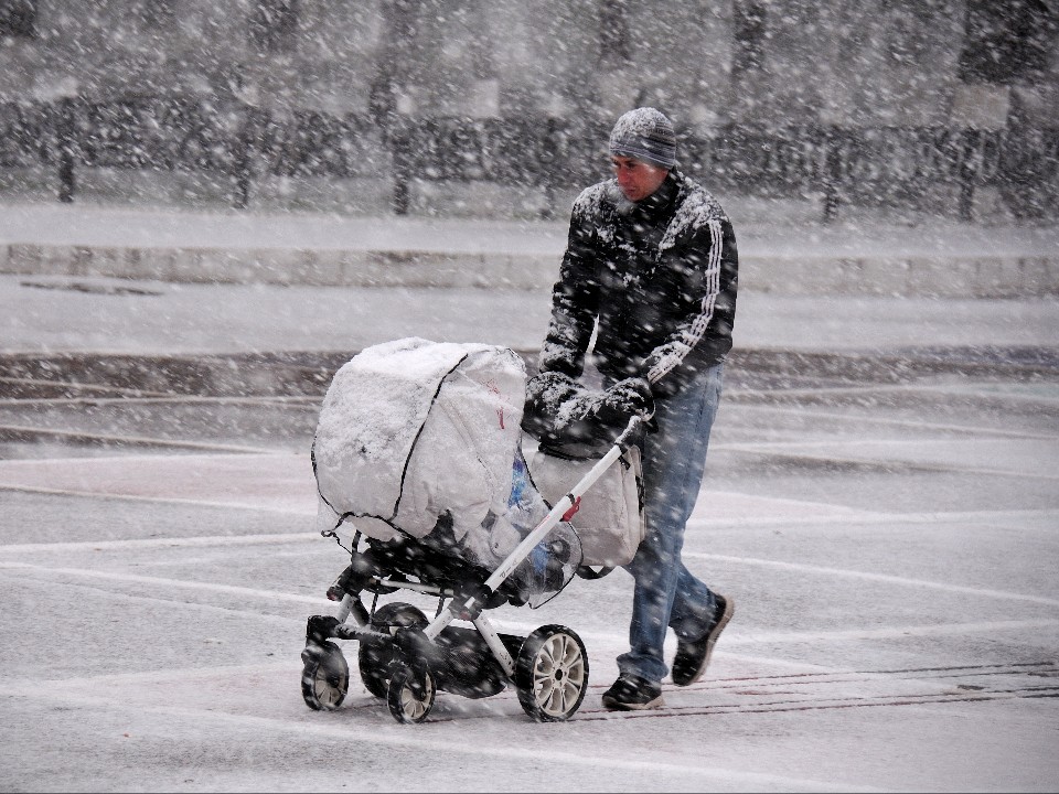 Погода вышла из-под контроля: неужели разрушительные аномалии в Подмосковье станут обычным делом