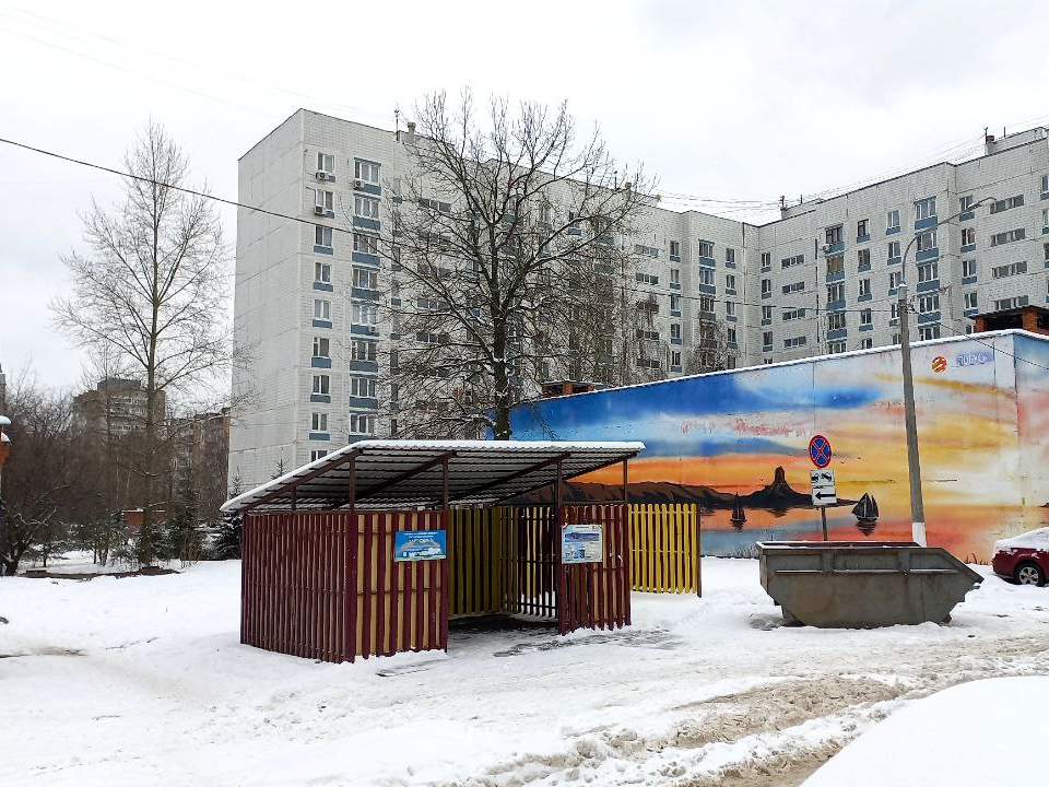 Какое наказание грозит электростальцам за сброс мусора в неположенном месте