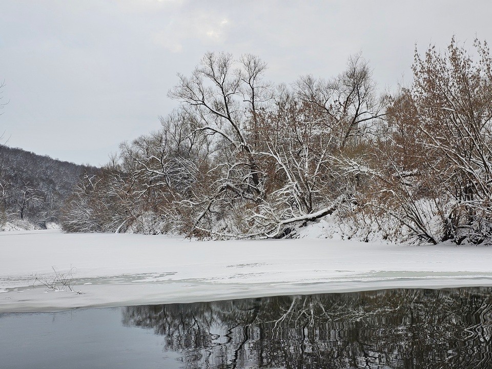 Аномальный скачок: в Подмосковье неожиданно потеплеет