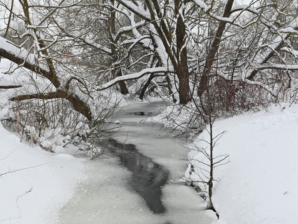 В Подмосковье похолодает еще сильнее: синоптики анонсировали приход аномальных морозов
