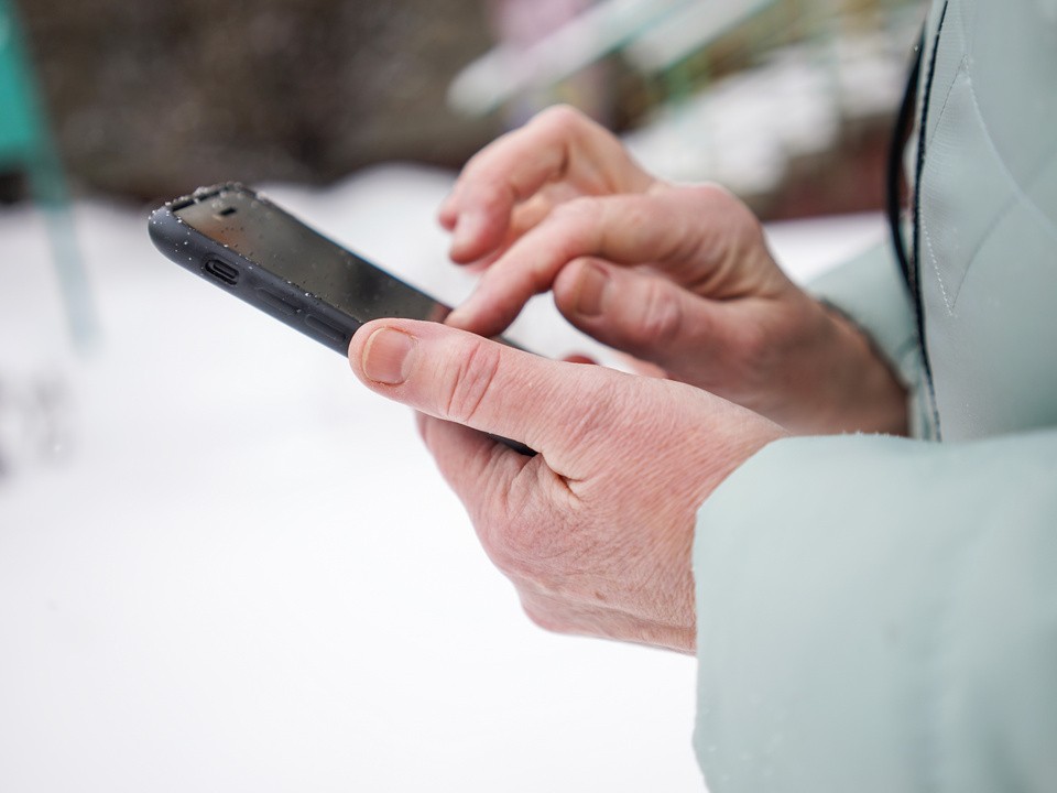 Уличные танцы розовой акулы с конем выложили в соцсети жители Мытищ