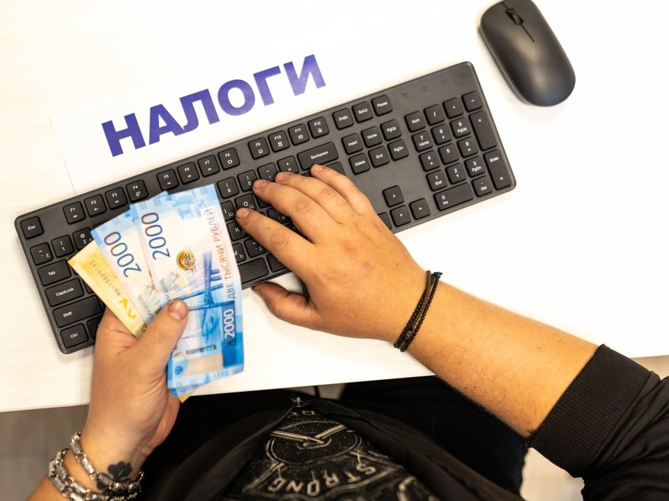 В какие сроки и кому нужно предоставить декларацию 3-НДФЛ в 2026 году