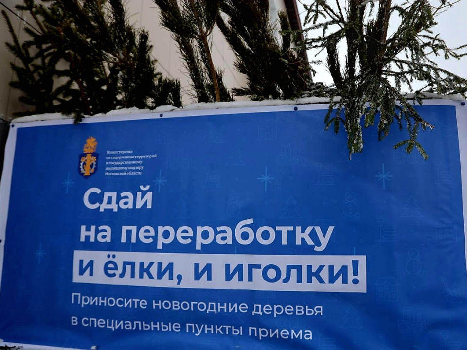 Где в Клину можно сдать елку на переработку