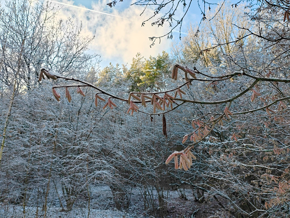 Народные приметы Федосеева дня: по погоде 24 января судили об урожае и весне