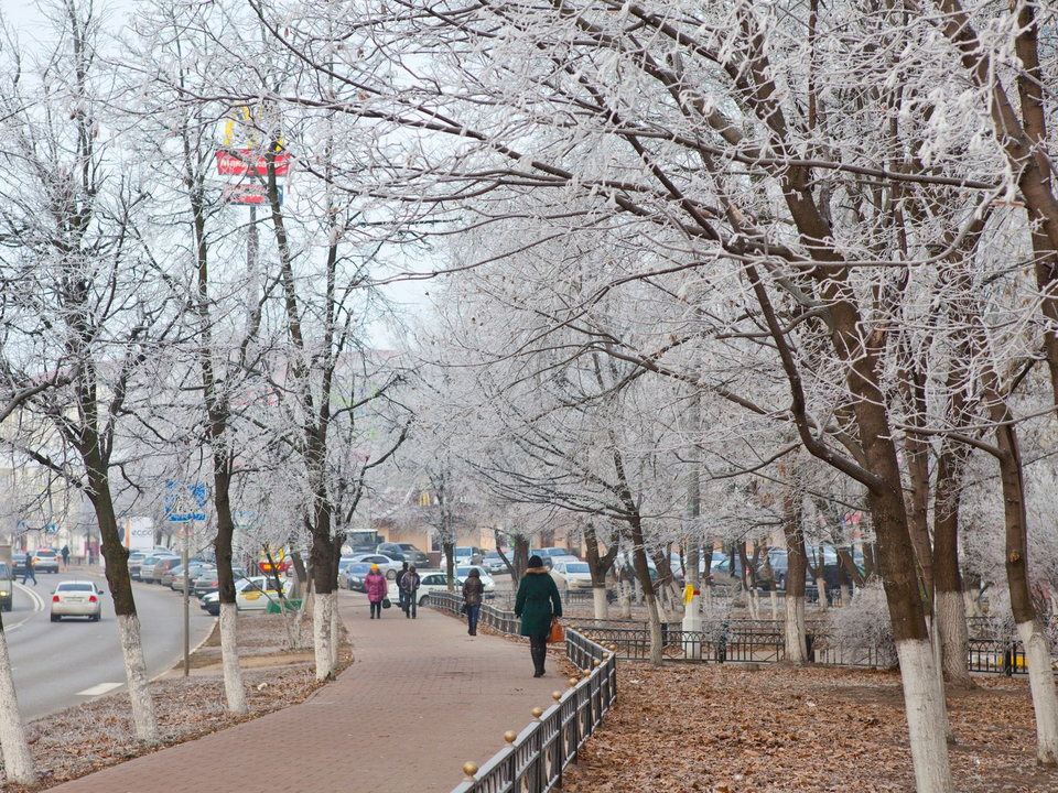 Морозный удар перед оттепелью: температура воздуха в Подмосковье упадет до -20 градусов 2 января