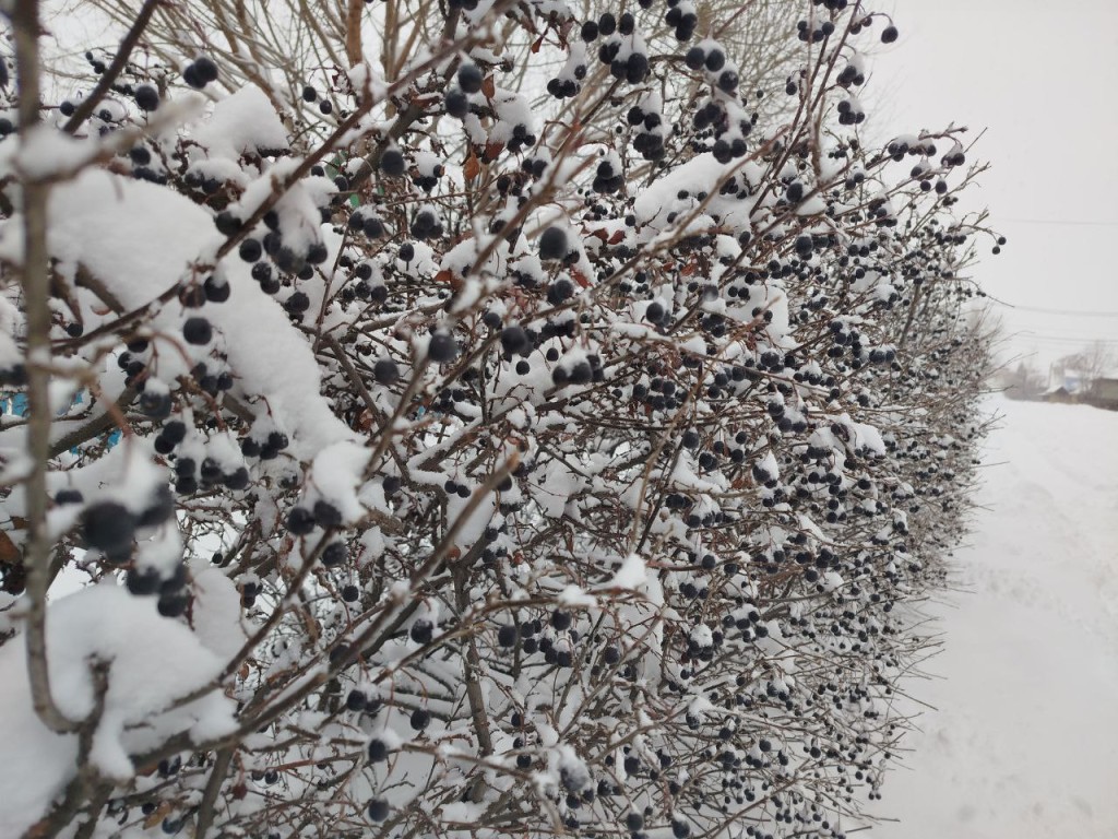 Самый мощный циклон задержится в Подмосковье до этой даты