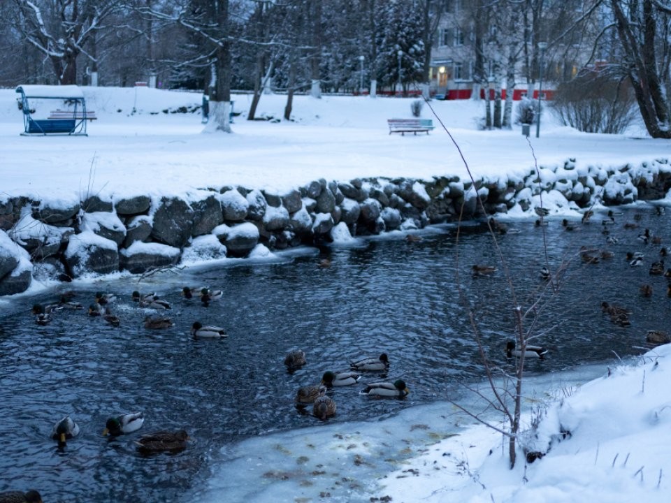 Сибирский антициклон все ближе подползает к Подмосковью