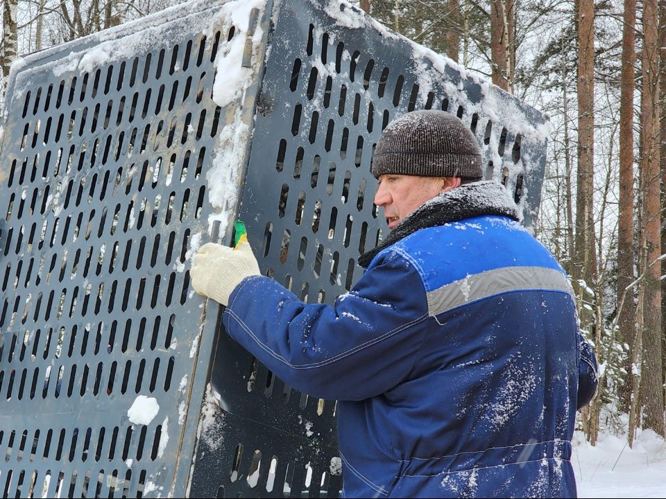 Комфортные прогулки в любую погоду: в лесопарке Лобни установили дренаж