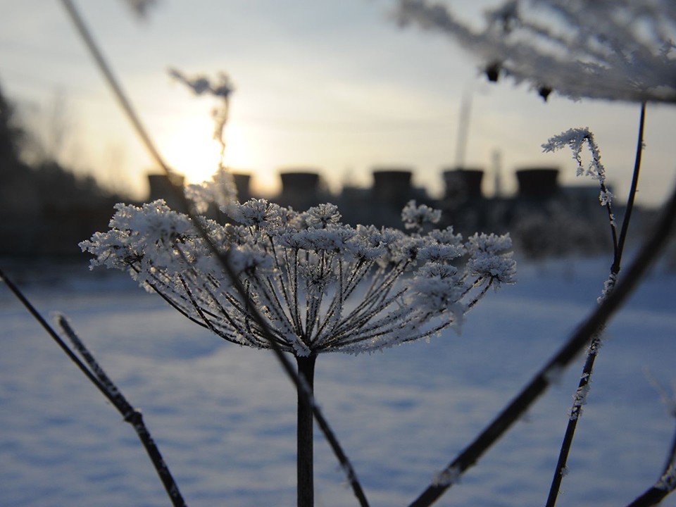 Погоду летом можно предсказать с помощью одной приметы 23 января