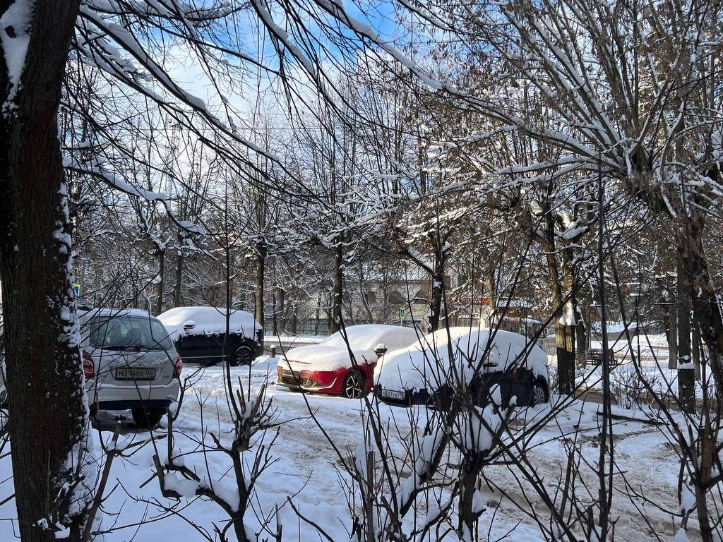 За какие выписки воскресенским водителям придется платить рассказали в ГИБДД