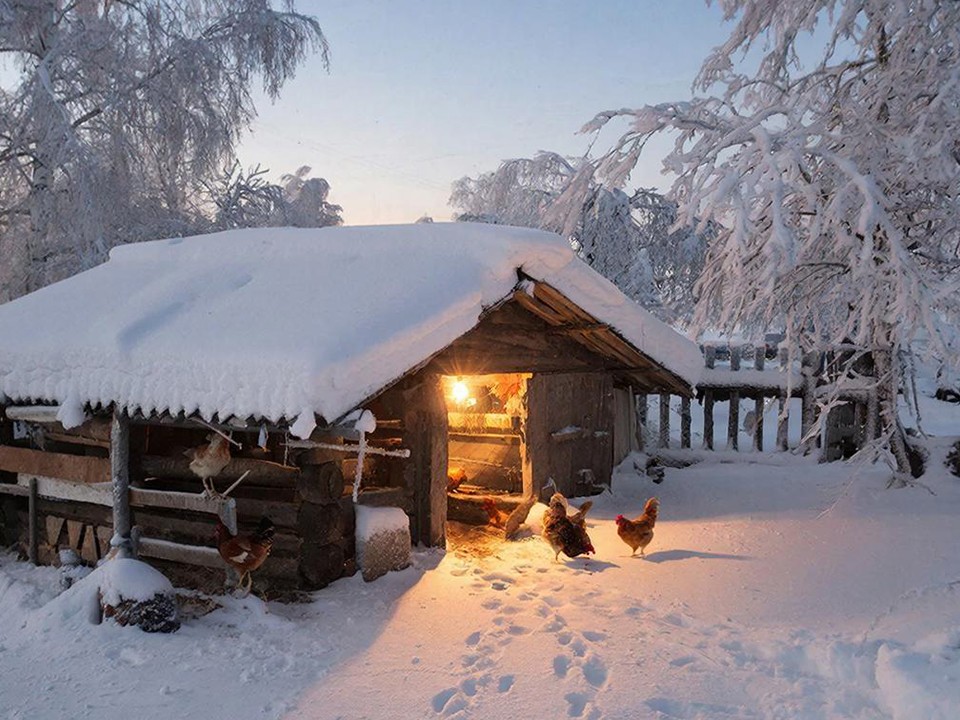 Какой народный праздник отмечают 15 января 2026: что можно и нельзя делать на Сильвестров день