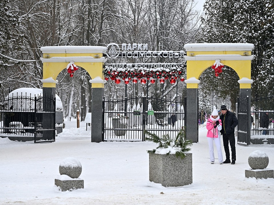 Фотоквест: как собрать виртуальную елку из праздничных локаций Ступина