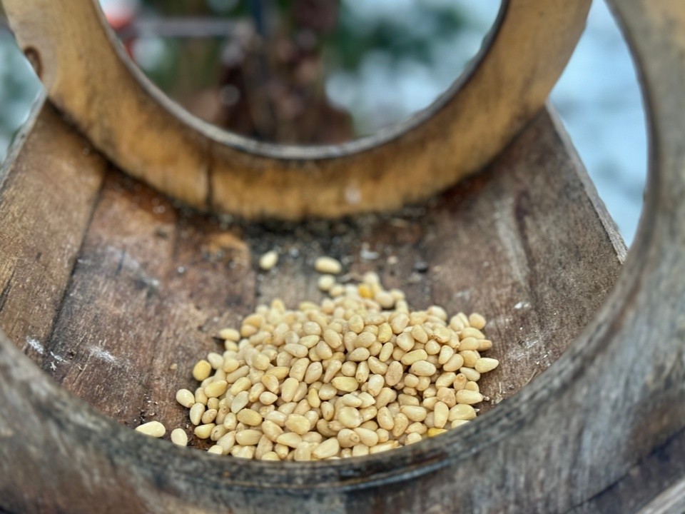 Кормушки для пернатых: школьники поддержали зимующих птиц