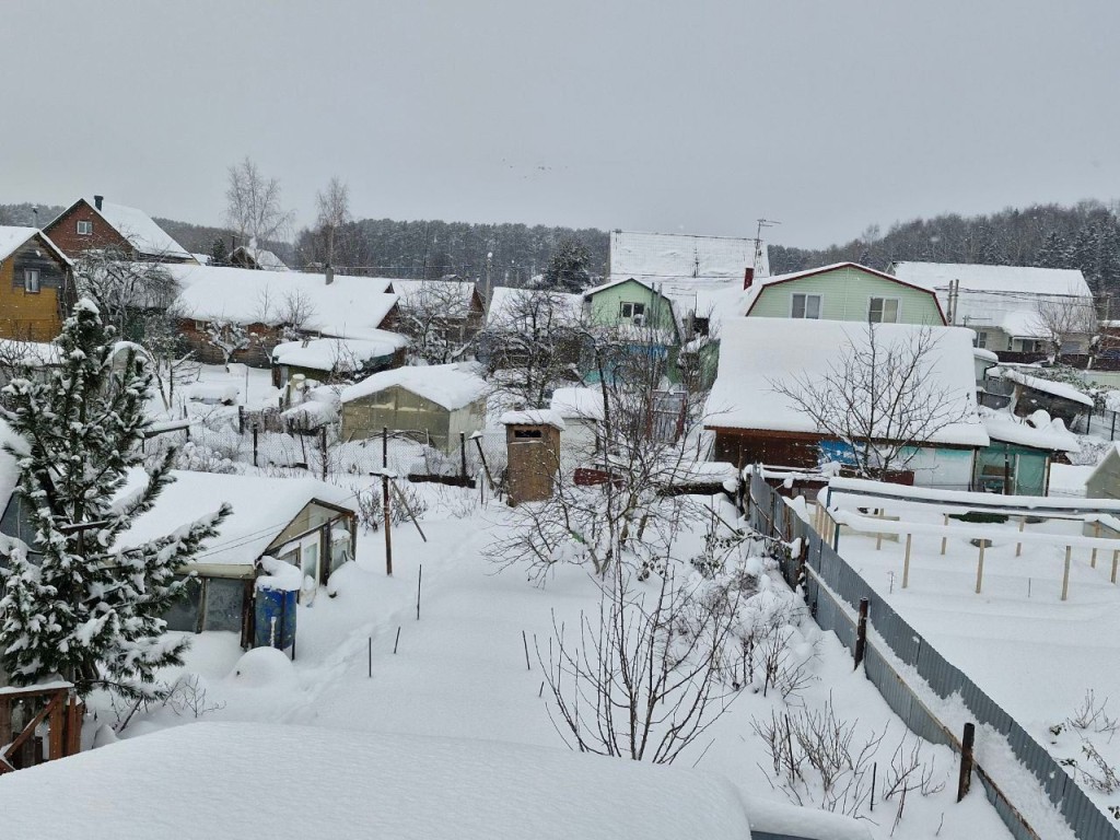 Как за январские дни снять 80% весенней нагрузки на даче: советы агронома