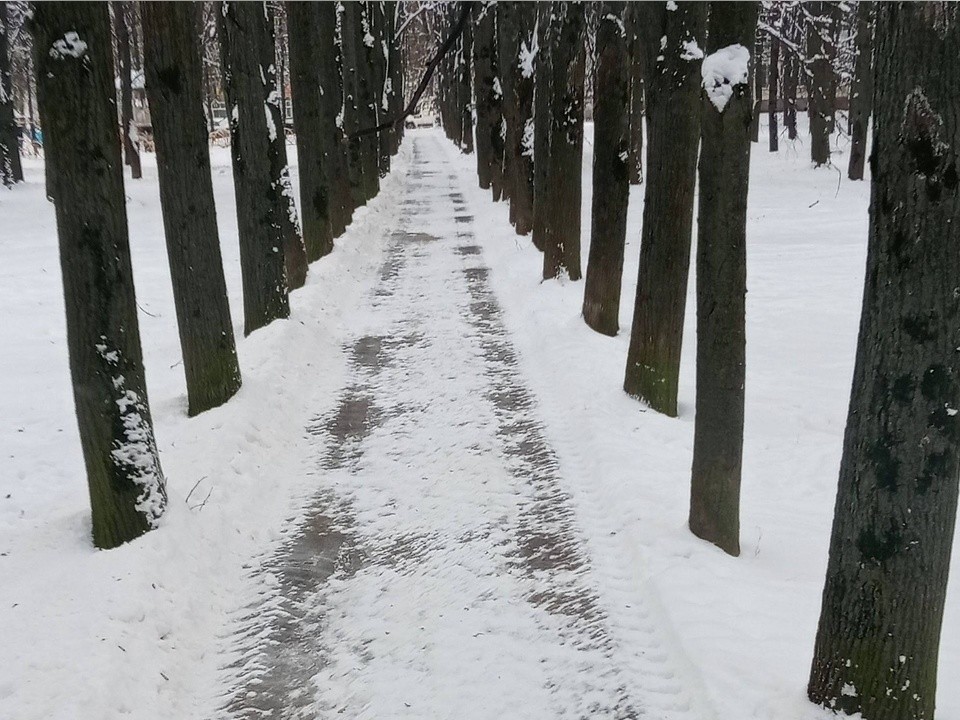 В Домодедове круглосуточно убирают снег: на улицах работают 88 машин