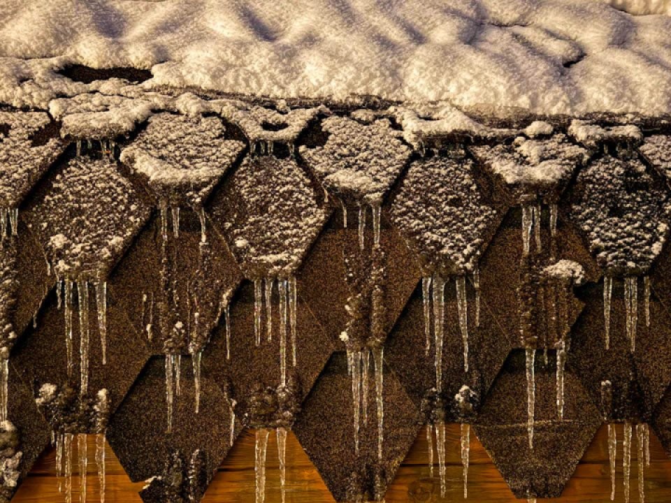 Март окрашен в красный: весна в 2026 году удивит Подмосковье — прогноз Романа Вильфанда