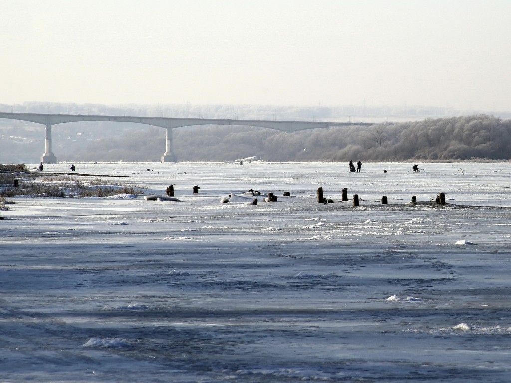 Добраться из Подмосковья до Калуги можно будет по воде: Оку планируют открыть для пассажирских перевозок