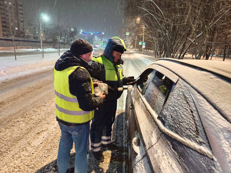 Водители, внимание: Госавтоинспекция предупредила об усиленных проверках в последние дни каникул