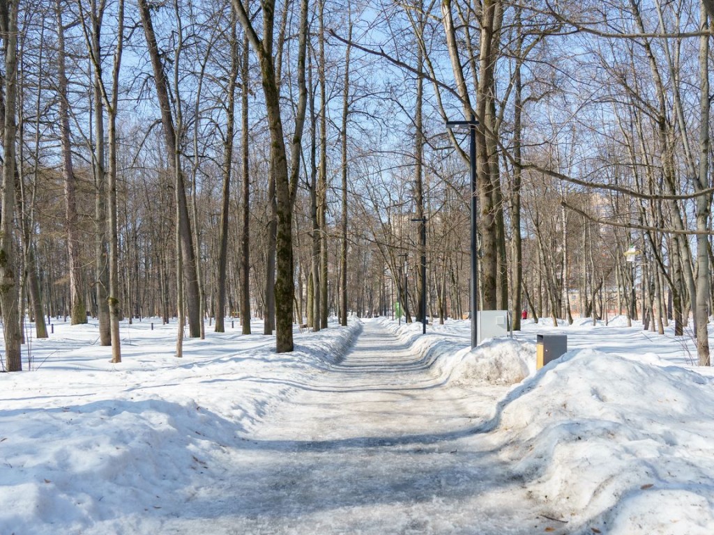 Возможный запуск электроснегокатов в Свердловском обсуждают в Лосино-Петровском